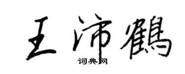 王正良王沛鹤行书个性签名怎么写