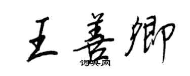 王正良王善卿行书个性签名怎么写
