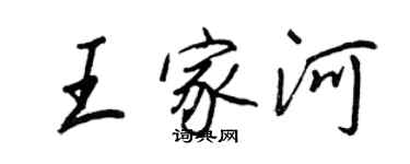 王正良王家河行书个性签名怎么写