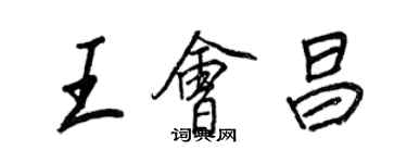 王正良王会昌行书个性签名怎么写