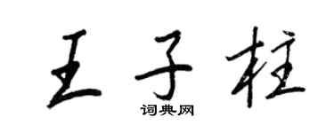 王正良王子柱行书个性签名怎么写