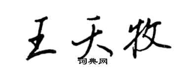 王正良王夭牧行书个性签名怎么写