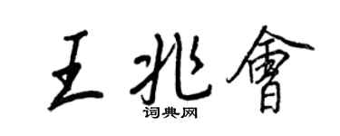 王正良王兆会行书个性签名怎么写