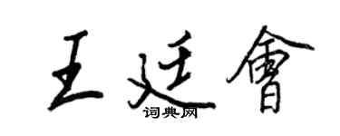 王正良王廷会行书个性签名怎么写