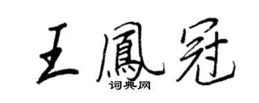 王正良王凤冠行书个性签名怎么写
