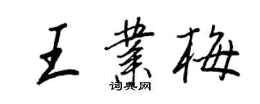 王正良王业梅行书个性签名怎么写