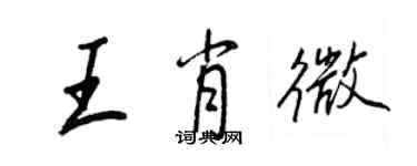 王正良王肖微行书个性签名怎么写