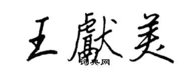 王正良王献美行书个性签名怎么写