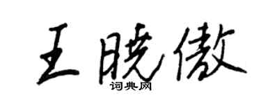 王正良王晓傲行书个性签名怎么写