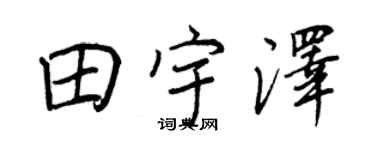 王正良田宇泽行书个性签名怎么写