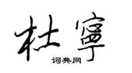 王正良杜宁行书个性签名怎么写