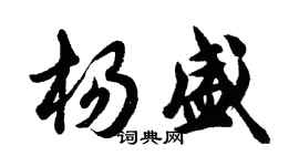 胡问遂杨盛行书个性签名怎么写