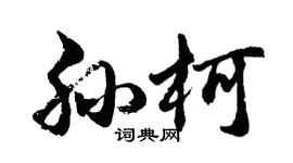 胡问遂孙柯行书个性签名怎么写
