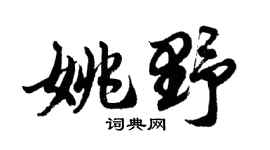 胡问遂姚野行书个性签名怎么写