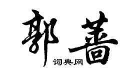 胡问遂郭蔷行书个性签名怎么写