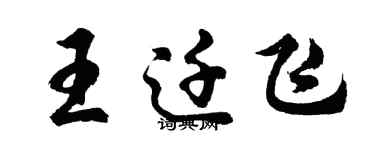 胡问遂王迁飞行书个性签名怎么写