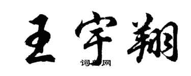 胡问遂王宇翔行书个性签名怎么写