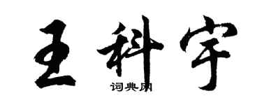 胡问遂王科宇行书个性签名怎么写