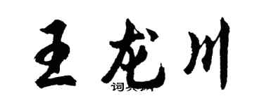 胡问遂王龙川行书个性签名怎么写