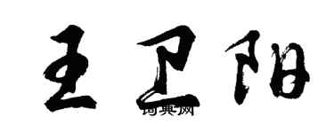 胡问遂王卫阳行书个性签名怎么写