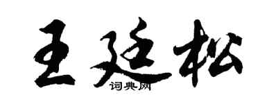 胡问遂王廷松行书个性签名怎么写