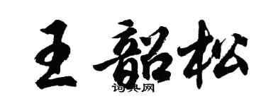 胡问遂王韶松行书个性签名怎么写
