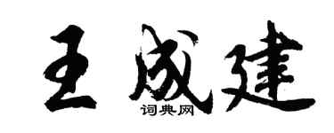 胡问遂王成建行书个性签名怎么写