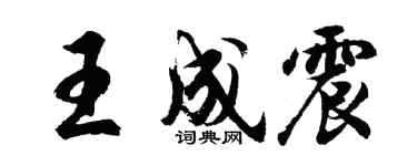 胡问遂王成震行书个性签名怎么写