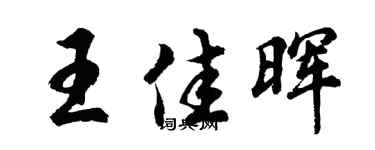 胡问遂王佳晖行书个性签名怎么写