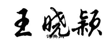 胡问遂王晓颖行书个性签名怎么写