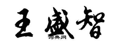 胡问遂王盛智行书个性签名怎么写