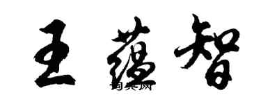 胡问遂王蕴智行书个性签名怎么写