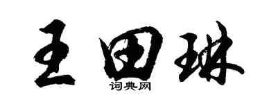 胡问遂王田琳行书个性签名怎么写