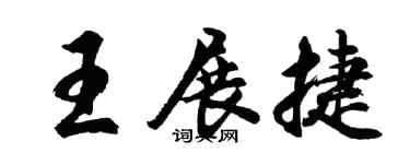 胡问遂王展捷行书个性签名怎么写