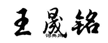 胡问遂王晟铭行书个性签名怎么写