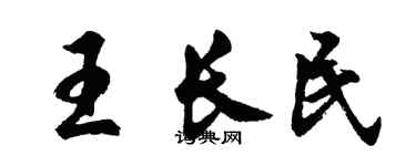 胡问遂王长民行书个性签名怎么写