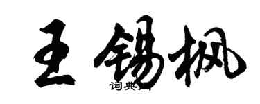 胡问遂王锡枫行书个性签名怎么写