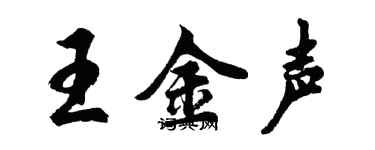 胡问遂王金声行书个性签名怎么写