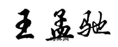 胡问遂王孟驰行书个性签名怎么写