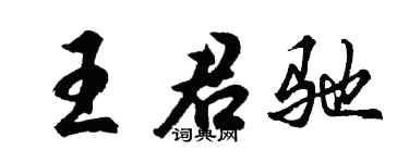 胡问遂王君驰行书个性签名怎么写