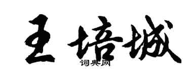 胡问遂王培城行书个性签名怎么写