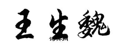 胡问遂王生魏行书个性签名怎么写