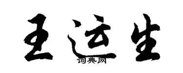 胡问遂王运生行书个性签名怎么写