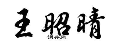 胡问遂王昭晴行书个性签名怎么写