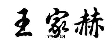 胡问遂王家赫行书个性签名怎么写