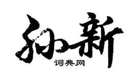 胡问遂孙新行书个性签名怎么写