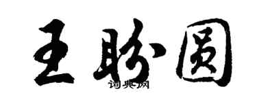 胡问遂王盼圆行书个性签名怎么写