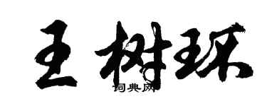 胡问遂王树环行书个性签名怎么写