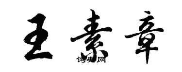 胡问遂王素章行书个性签名怎么写