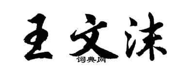 胡问遂王文沫行书个性签名怎么写